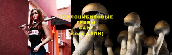 мяу мяу кристалл Инсар