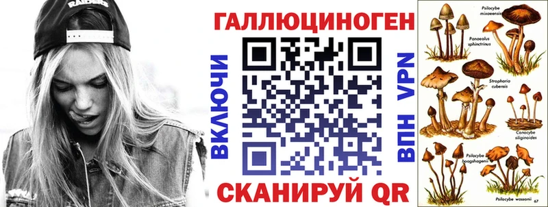 Купить закладки  Боготол  Псилоцибиновые грибы мицелий 